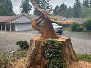 IMG-20250903-WA0016