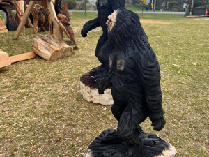 473864984_932074612438901_5337852309288308925_n