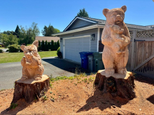 Bear Family - Two Stumps - Kent, WA
