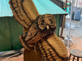 Wildlife Carvings