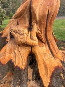 carved heron owl cedar sculpture